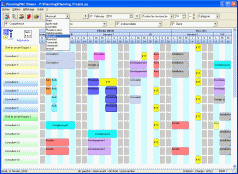 Visualisation monthly planning