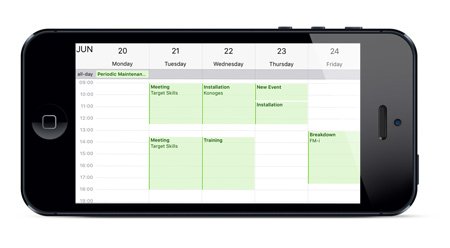 overview iPhone calendar overview iPhone calendar